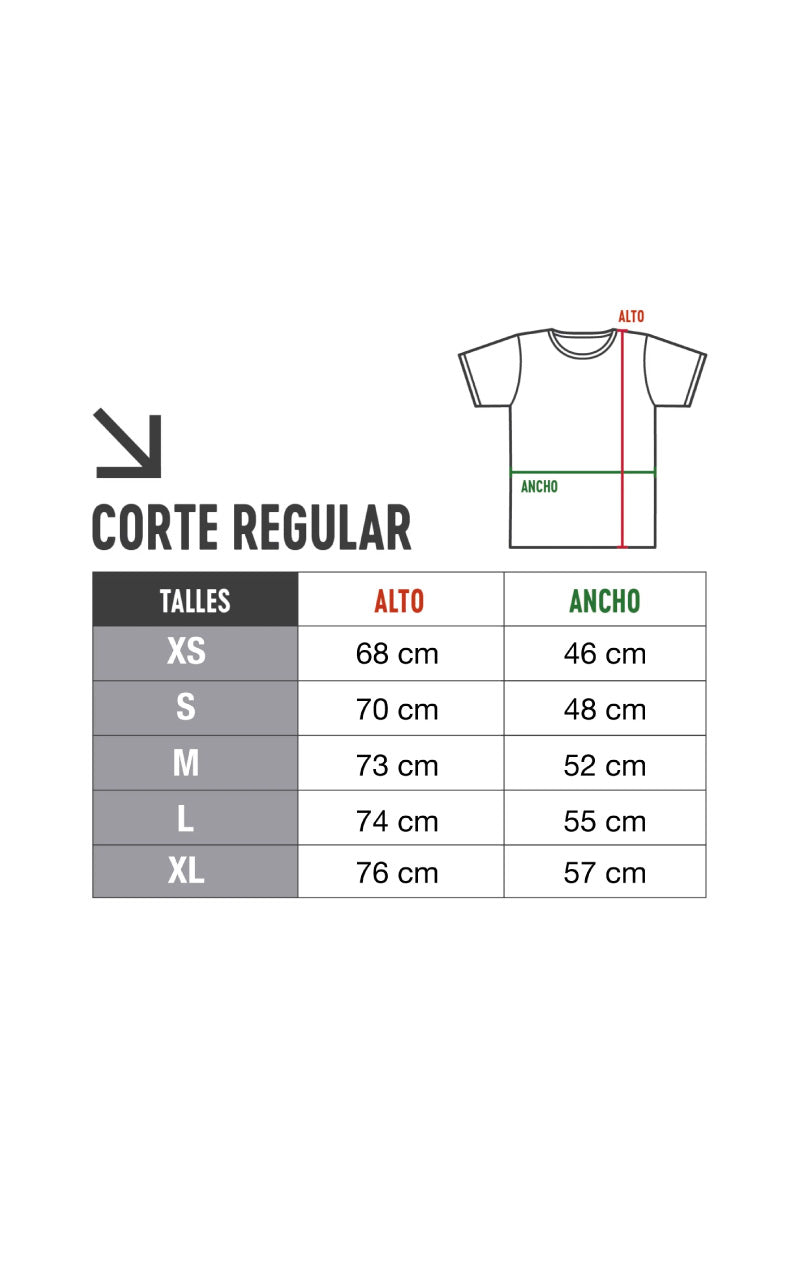 Remera sustentable Gris unisex
